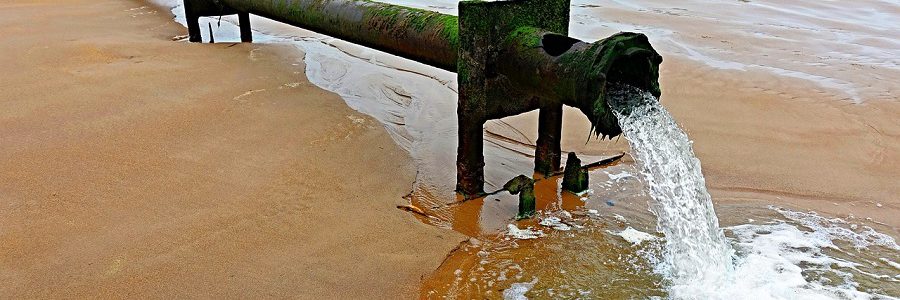 Las personas directamente afectadas por la contaminación del agua por nitratos de origen agrario pueden exigir la adopción de medidas a los Estados miembros