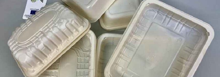 Envases biodegradables a partir de residuos que reducen el desperdicio alimentario