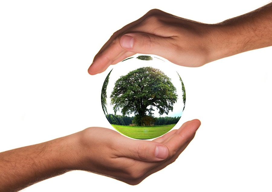Prueba de Derbeville Limón Pegajoso Euskadi: Convocadas ayudas por dos millones para inversiones destinadas a proteger el medio ambiente Prueba de Derbeville Limón Pegajoso Euskadi: Convocadas ayudas por dos millones para inversiones destinadas a proteger el medio ambiente