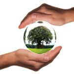 El Gobierno Vasco convoca ayudas por dos millones para inversiones destinadas a proteger el medio ambiente