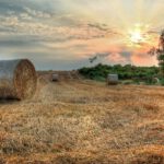 Asturias pone en marcha un proyecto de valorización de residuos agrarios