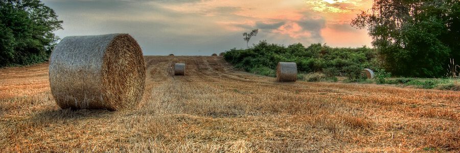 Asturias pone en marcha un proyecto de valorización de residuos agrarios