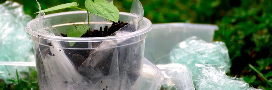 Primeros resultados del proyecto BIOnTop para el desarrollo de nuevos envases reciclables y compostables