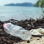Cinco mitos erróneos sobre los impactos ambientales de los plásticos de un solo uso