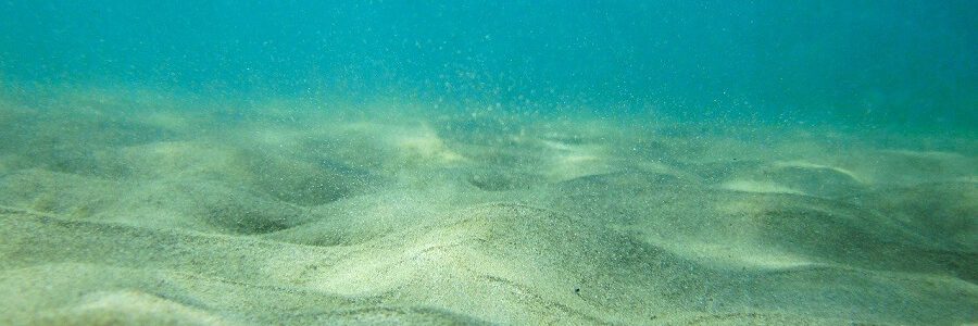 Los fondos marinos son un sumidero de microplásticos