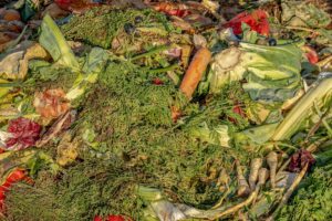 ´La Hoja de Ruta del Hidrógeno ofrece oportunidades para la valorización de residuos