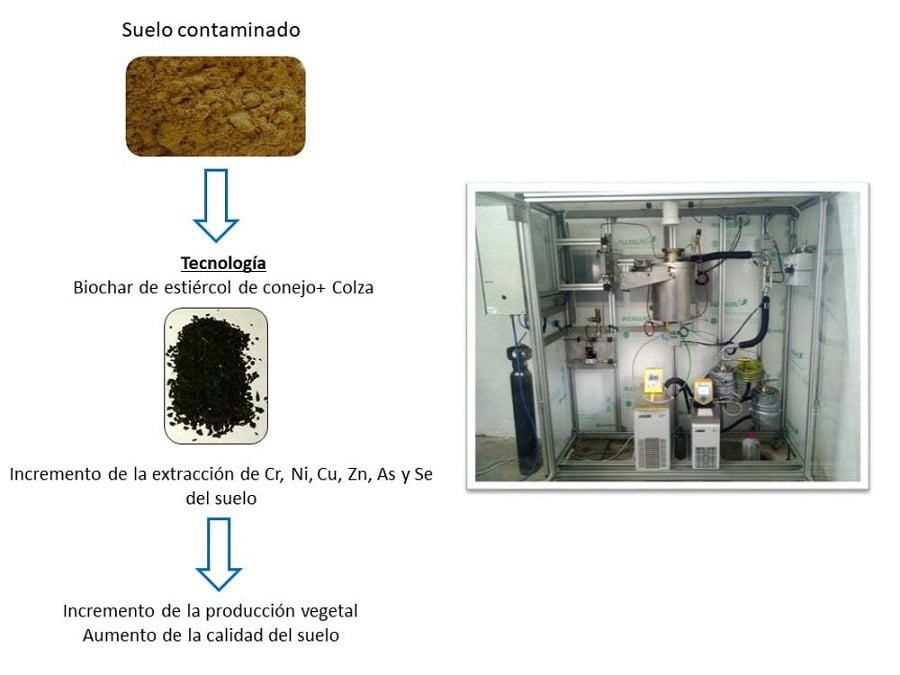 C&oacute;mo utilizar plantas y esti&eacute;rcol para extraer minerales de los suelos contaminados