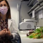 El compost de residuos orgánicos protege y mejora la calidad nutricional de lechugas y espinacas