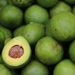 El proyecto GUACAPACK desarrollará un envase biodegradable a partir de residuos de aguacate