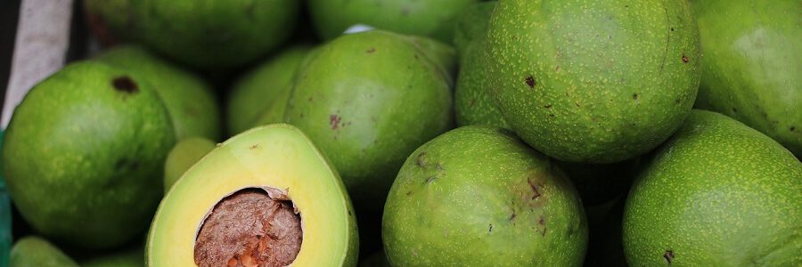 El proyecto GUACAPACK desarrollará un envase biodegradable a partir de residuos de aguacate