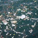 Tres cosas que (igual) no sabías sobre las basuras marinas