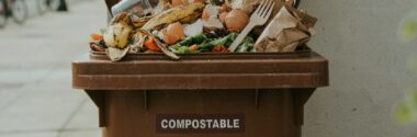 Envases biodegradables y compostables y biorresiduos: encontrar las condiciones adecuadas para el co-compostaje