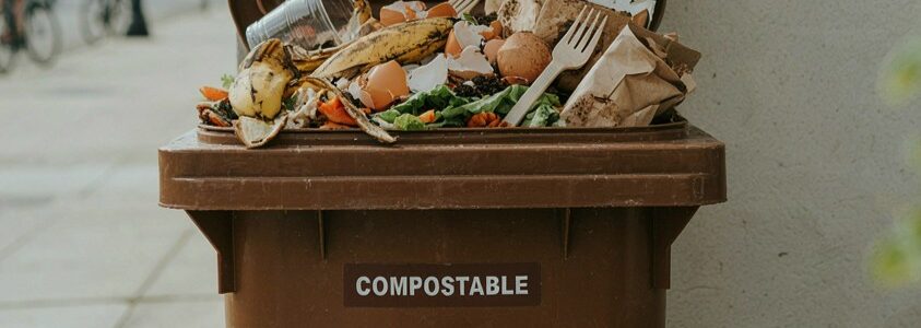 Envases biodegradables y compostables y biorresiduos: encontrar las condiciones adecuadas para el co-compostaje