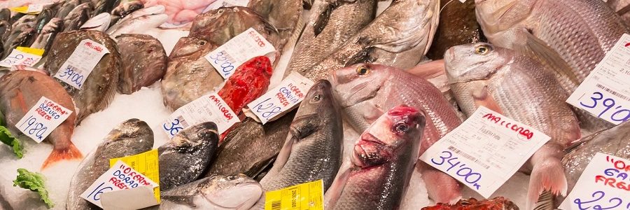 Bilbao recupera 350 toneladas de residuos de pescado con la recogida puerta a puerta en pescaderías