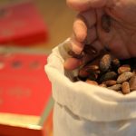 Nestlé utilizará residuos de la producción de cacao para generar energía