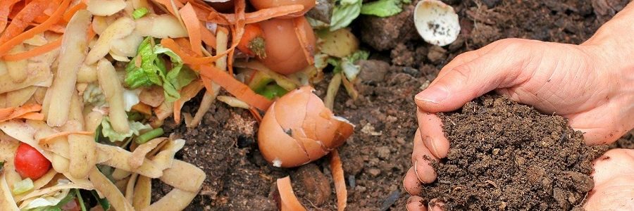 La Agencia de Residuos de Cataluña celebra la Semana Internacional del Compost