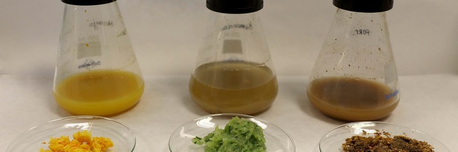 Itene obtiene nuevos biopolímeros a partir de residuos agrícolas y urbanos