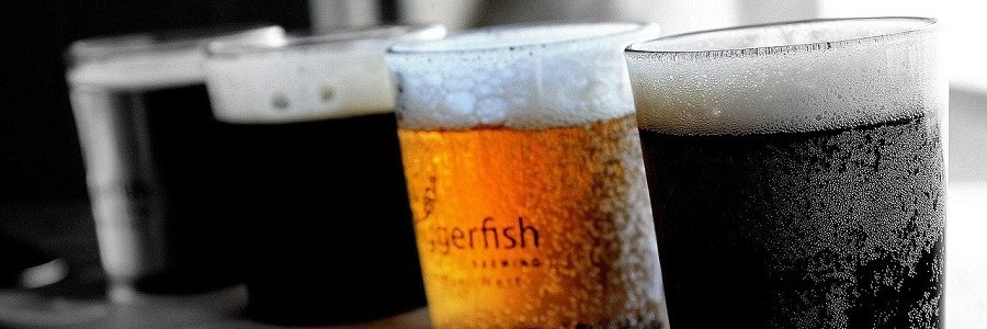 Reciclan residuos de la industria cervecera en nanofibras de celulosa