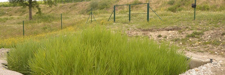 Proyecto para aumentar la resiliencia de los vertederos de residuos frente al cambio climático