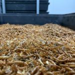 Nuevas vías de biorreciclaje para residuos plásticos agrícolas y envases alimentarios