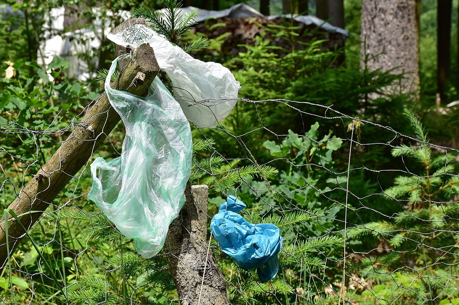 miseria Inhalar Oferta Nos acercamos a un punto sin retorno de la contaminación por plástico?