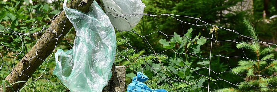 ¿Nos acercamos a un punto sin retorno de la contaminación por plásticos?