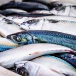 Convierten cabezas de pescado y espinas en nuevos productos saludables