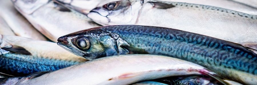 Convierten cabezas de pescado y espinas en nuevos productos saludables