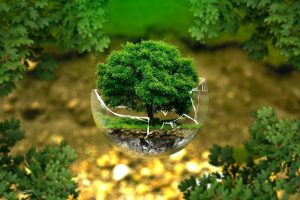 Nueva línea de ayudas de la Fundación Biodiversidad para la recuperación verde