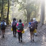 Los peregrinos del Camino de Santiago reciclaron este verano casi 186 toneladas de envases