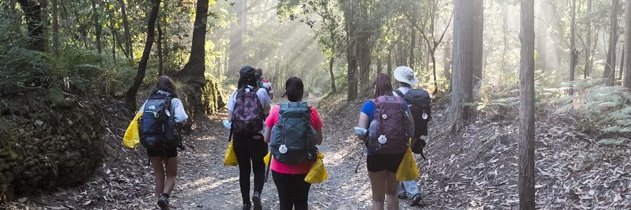 Los peregrinos del Camino de Santiago reciclaron este verano casi 186 toneladas de envases