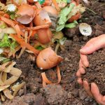 Microplásticos en el compost que abona el campo: un nuevo desafío para la economía circular