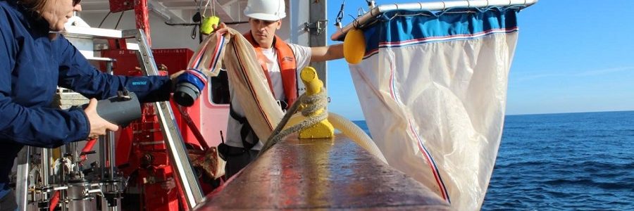 La contaminación oceánica por microplásticos podría ser superior a lo estimado