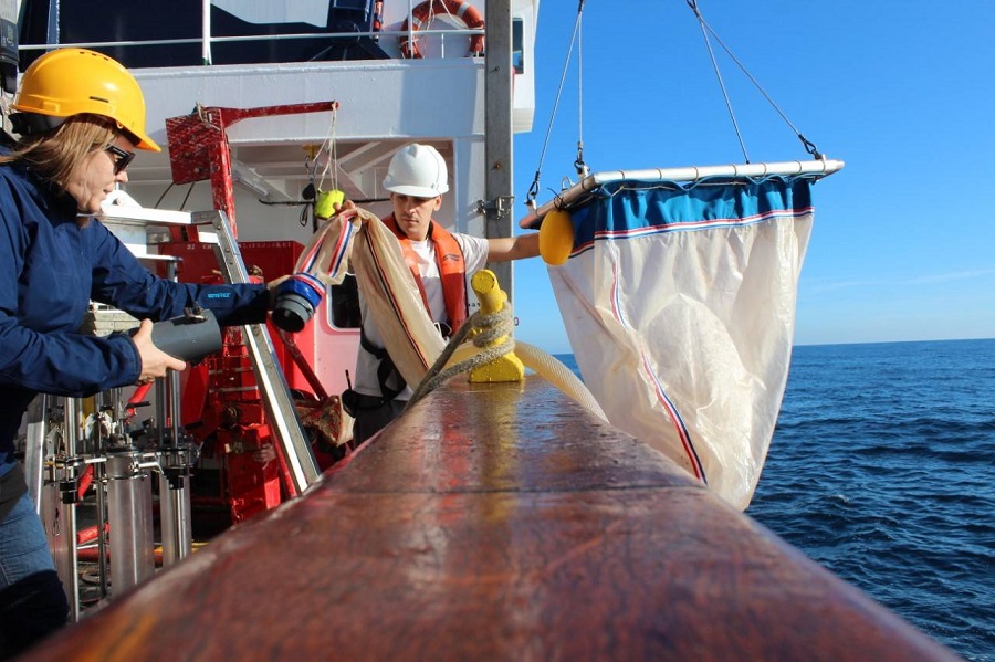 la presencia de microplásticos en el océano puede ser aún mayor de lo esperado