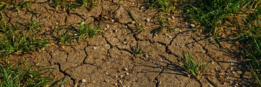 La futura legislación sobre suelos contaminados: los principios de la economía circular en el urbanismo para la recuperación de los suelos y la habilitación de usos