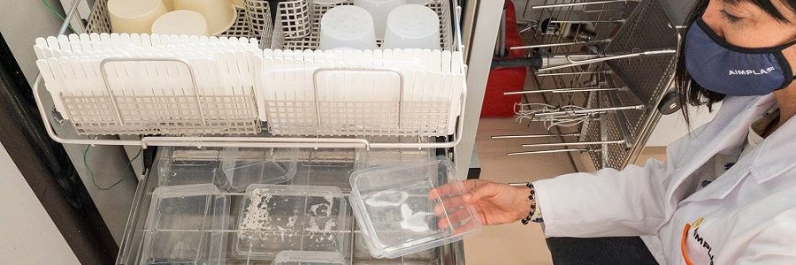 Aimplas acredita los ensayos de vajilla reutilizable como alternativa a los plásticos de un solo uso