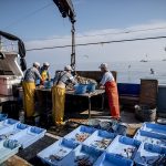 2.600 pescadores recuperan 190 toneladas de basura marina en el proyecto ‘Upcycling the Oceans’