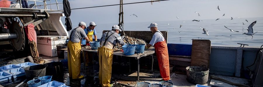 2.600 pescadores recuperan 190 toneladas de basura marina en el proyecto ‘Upcycling the Oceans’