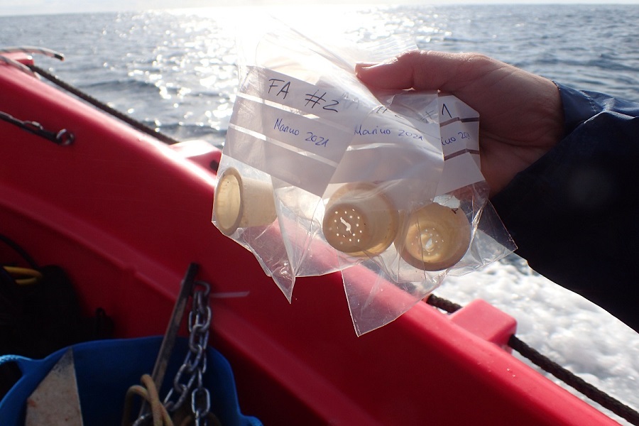 Desarrollan cápsulas de café compostables y biodegradables en el mar
