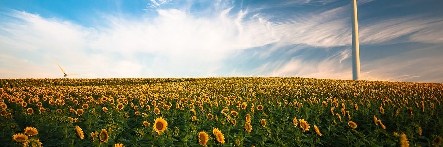 El Parlamento Europeo aprueba los nuevos objetivos medioambientales de la UE para 2030