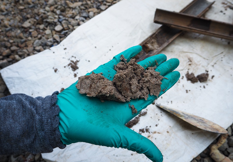 Estudian la tecnología de micorremediación para limpiar suelos contaminados por hidrocarburos