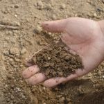 Eurecat prueba una tecnología de remediación de suelos contaminados mediante hongos