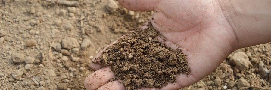 Eurecat prueba una tecnología de remediación de suelos contaminados mediante hongos