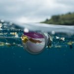 El plástico biodegradable PLA no se degrada más rápido en el mar