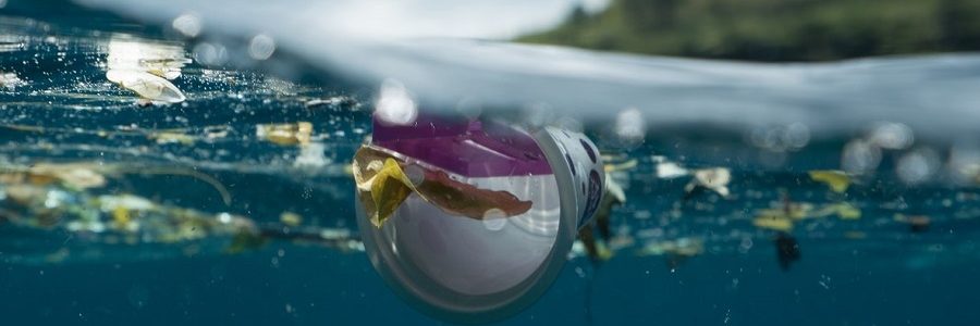 El plástico biodegradable PLA no se degrada más rápido en el mar