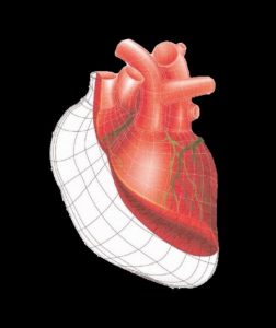 Implantes biomédicos a partir de residuos agroalimentarios