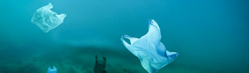 ¿Deben productores y consumidores compartir la responsabilidad de los residuos de envases de plástico?