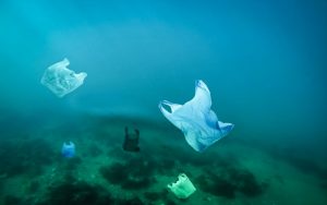 Un estudio aboga por la responsabilidad compartida en la gestión de residuos de envases de plástico