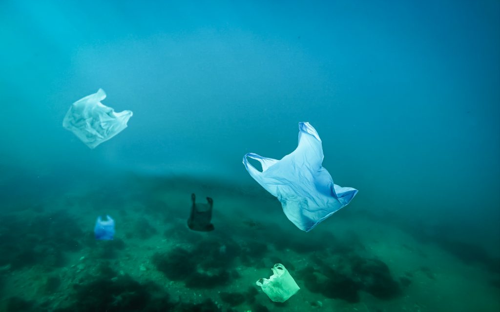 Un estudio aboga por la responsabilidad compartida en la gestión de residuos de envases de plástico