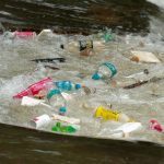 Científicos piden limitar la producción de plásticos para acabar con la contaminación